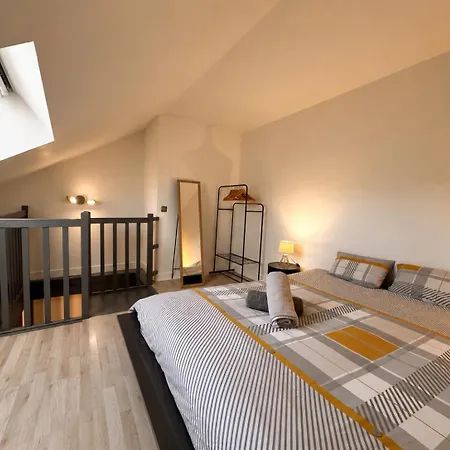 Nid Sous Les Toits Duplex *
